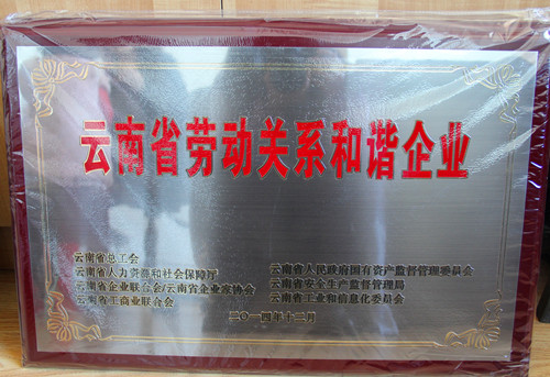 公司獲省總工會勞動(dòng)關(guān)系和諧企業(yè)表彰