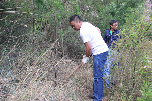 我為黨旗增光輝——公司機關(guān)黨支部組織開展鋤草促長活動