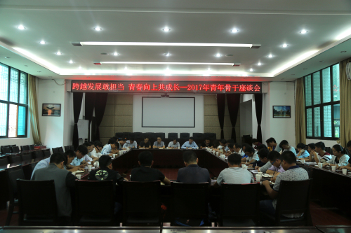 跨越發(fā)展敢擔(dān)當，青春向上共成長—公司召開2017年青年骨干座談會