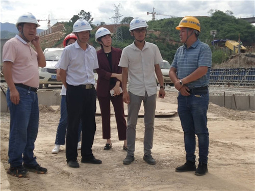 陳定華、胡云紅調(diào)研元蔓高速（玉溪段）一分部