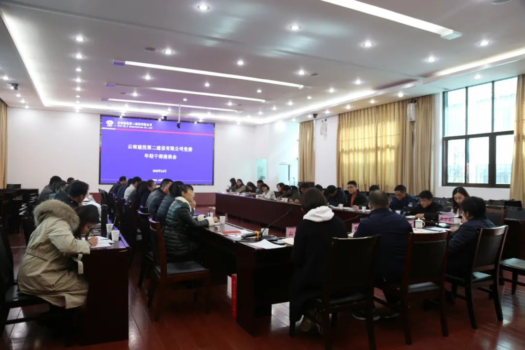 【公司要聞】只有創(chuàng)造價值，青春才是資本——公司黨委召開年輕干部座談會