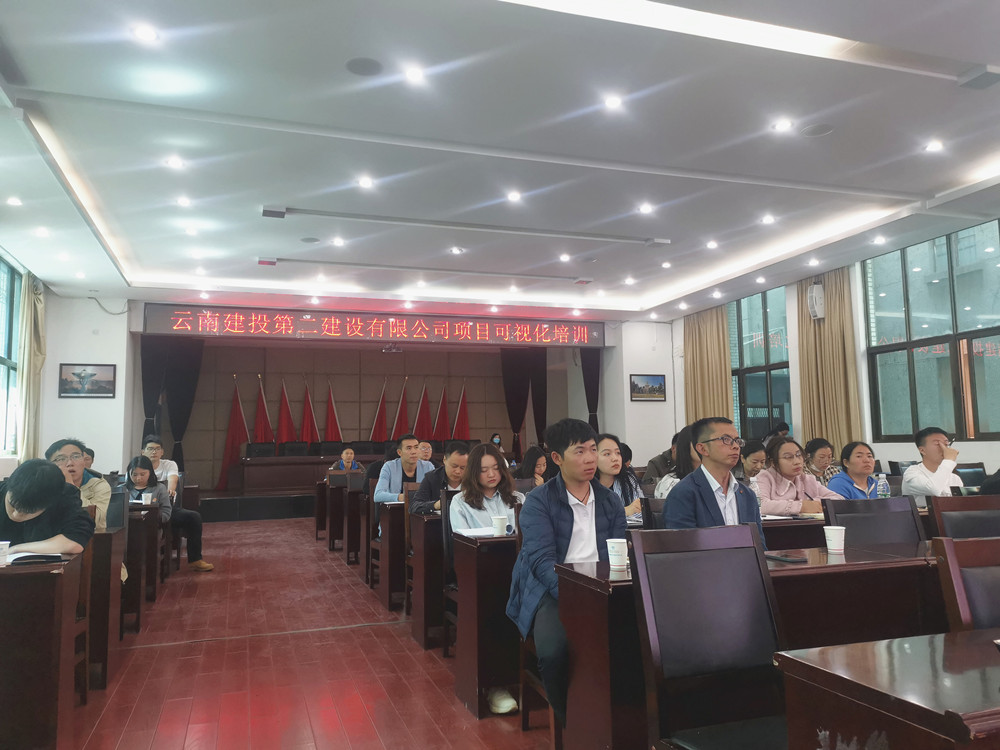 【公司動態(tài)】公司舉辦項目可視化培訓(xùn)