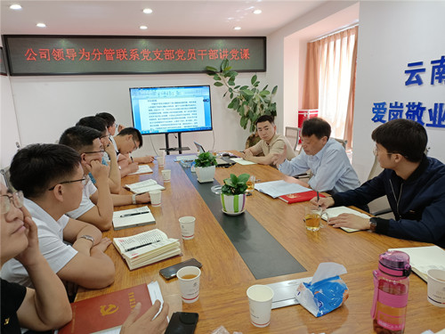 【黨課開(kāi)講啦】陳定華講授黨史學(xué)習(xí)教育專(zhuān)題黨課