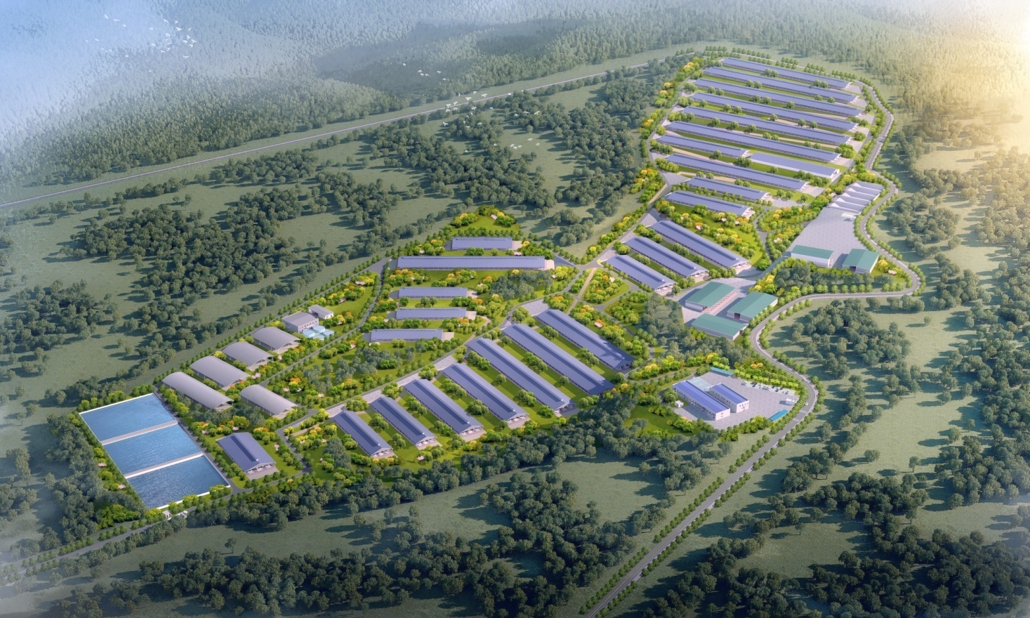 【喜報】1.29億！第十六直管部成功中標(biāo)西盟縣萬頭肉牛養(yǎng)殖示范場建設(shè)（EPC）項目