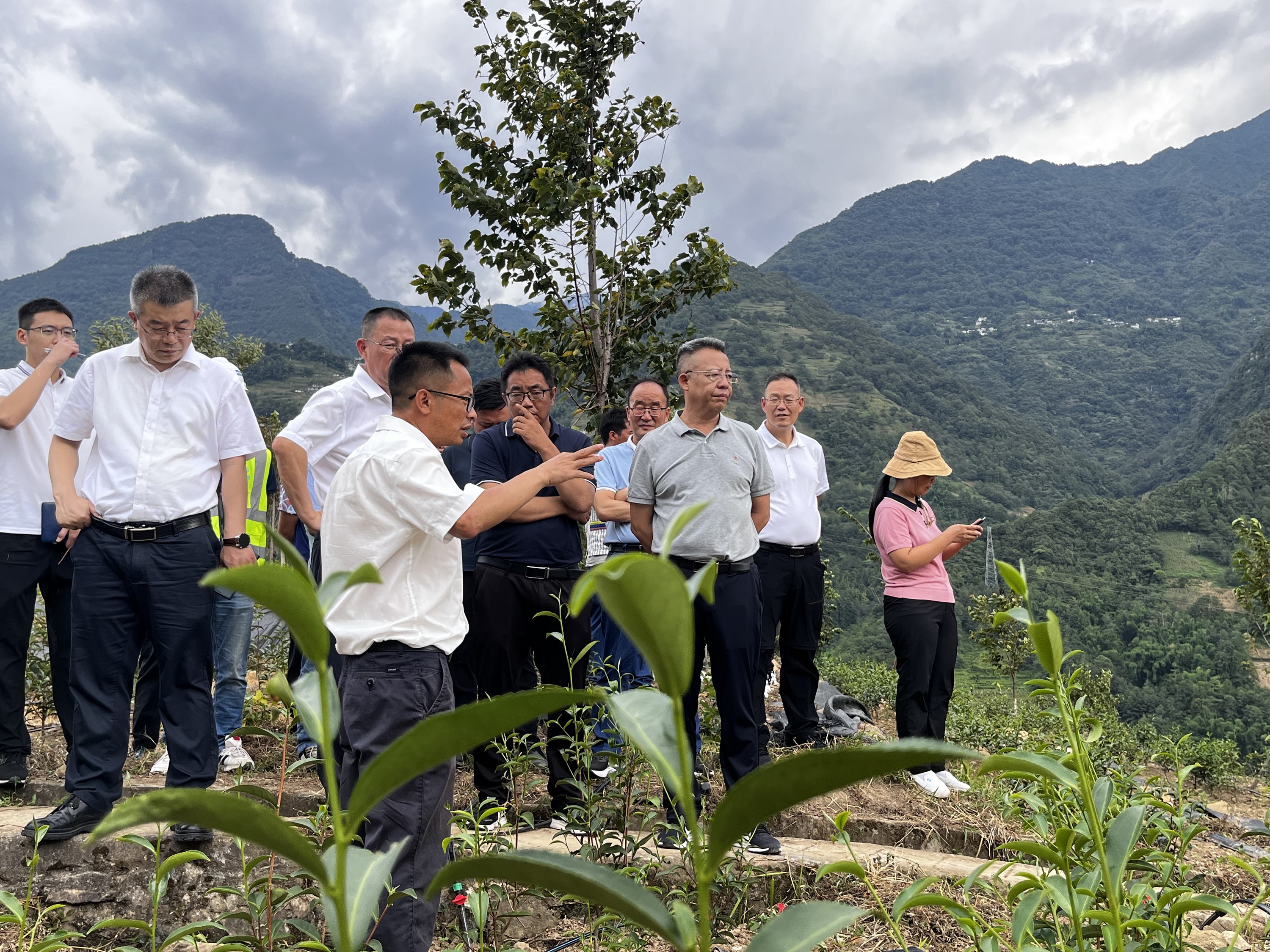 【調(diào)研檢查】怒江州州委副書記、州長李文輝到鹿馬登鄉(xiāng)小康村建設(shè)項目調(diào)研指導(dǎo)工作